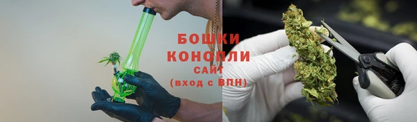 ПСИЛОЦИБИНОВЫЕ ГРИБЫ Каменка