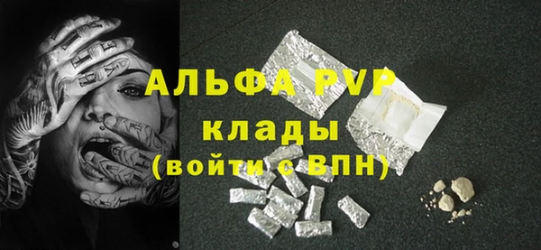 ПСИЛОЦИБИНОВЫЕ ГРИБЫ Каменка
