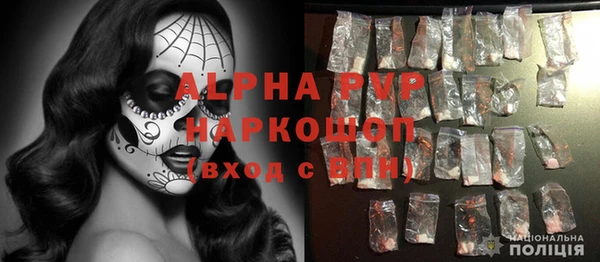тгк Каменногорск