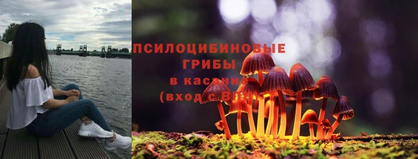 ПСИЛОЦИБИНОВЫЕ ГРИБЫ Каменка